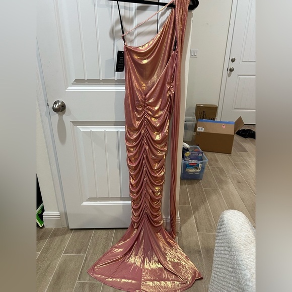 NWT Retrofete Shannon Dress in golden peach - pink metallic - Size L - Picture 8 of 13